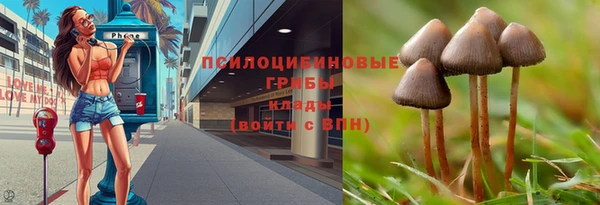 бутират Елабуга