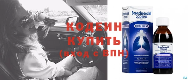прущая мука Ельня