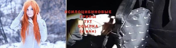 прущая мука Ельня