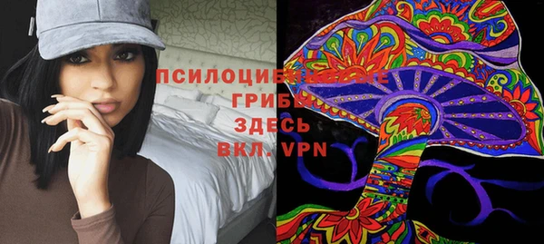 прущая мука Ельня
