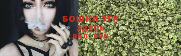 прущая мука Ельня