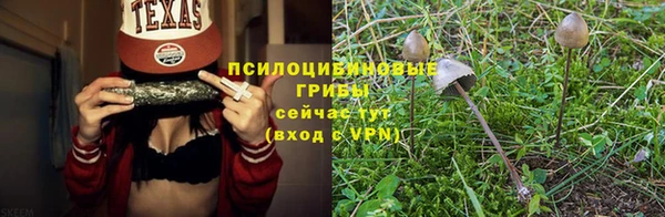 прущая мука Ельня