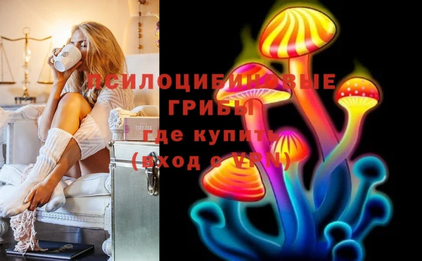 прущая мука Ельня