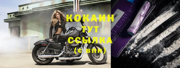 прущая мука Ельня