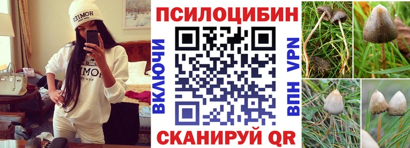 Купить закладки  Петровск  Галлюциногенные грибы прущие грибы 